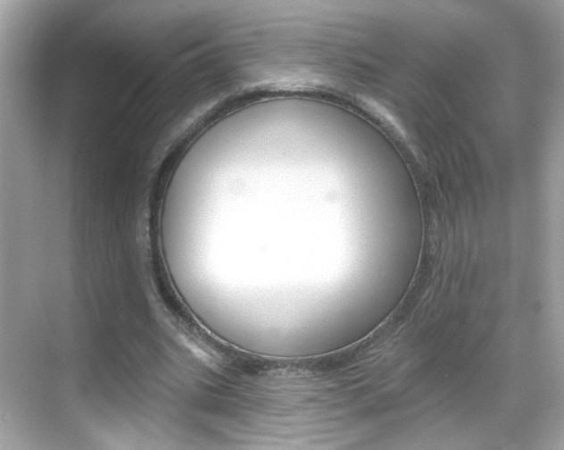 X0000068890535200605051117