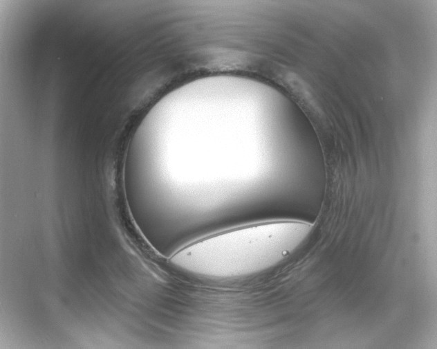 X0000068890539200605051117