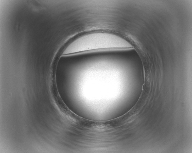 X0000068890540200605051118