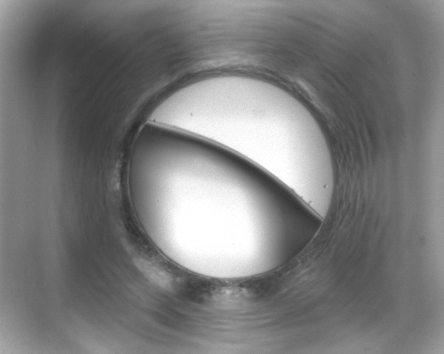 X0000068890543200605051118