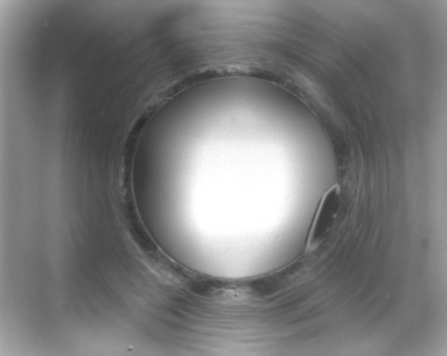 X0000068890548200605051118