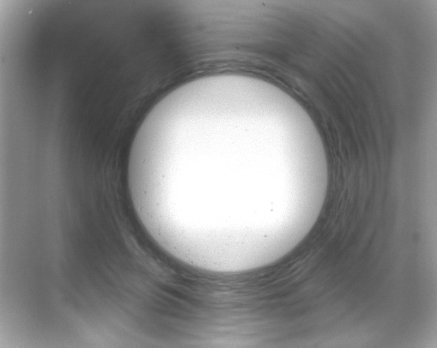 X0000068890551200605051118