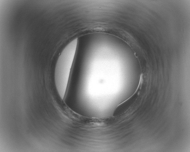 X0000068890552200605051118