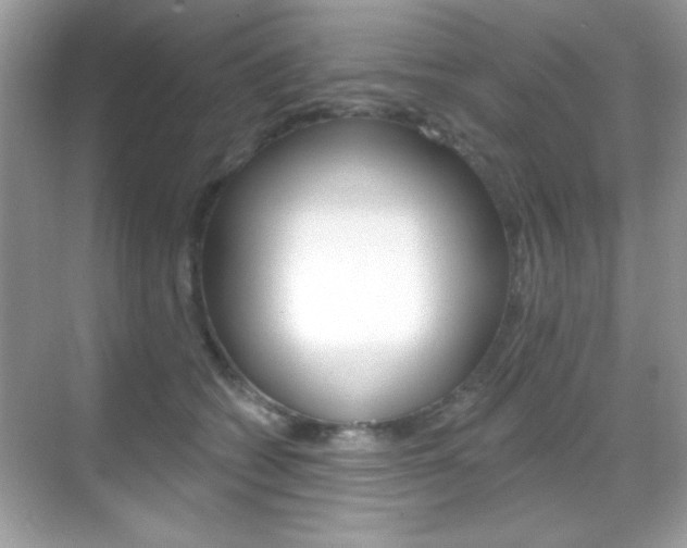 X0000068890562200605051118