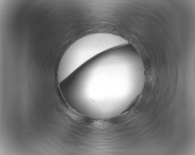 X0000068890568200605051118