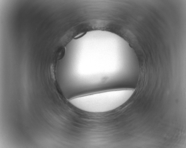 X0000068890575200605051118
