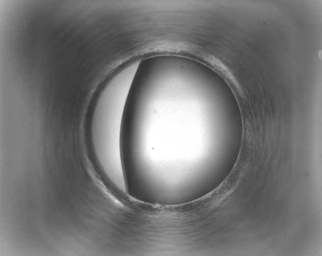 X0000068890581200605051117
