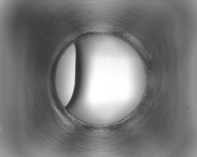 X0000068890586200605051117