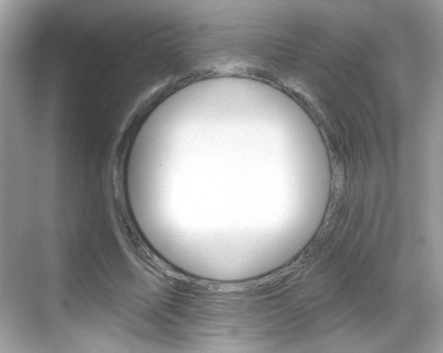 X0000068890587200605051117