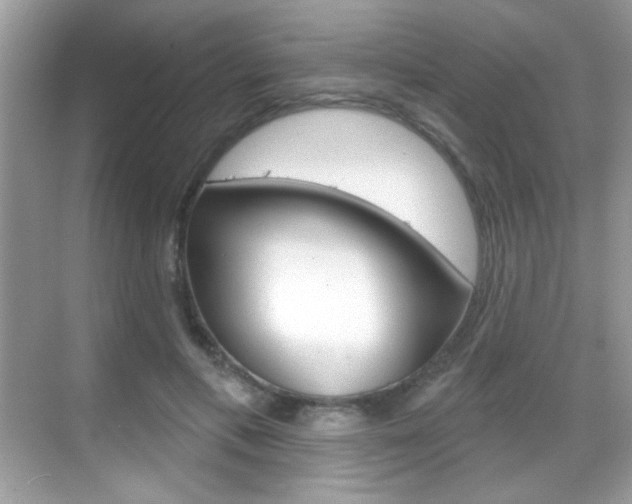 X0000068890597200605051117