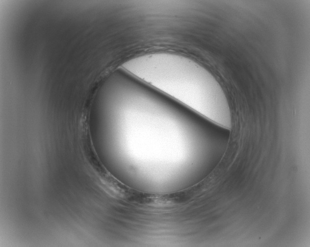 X0000068890601200605051117