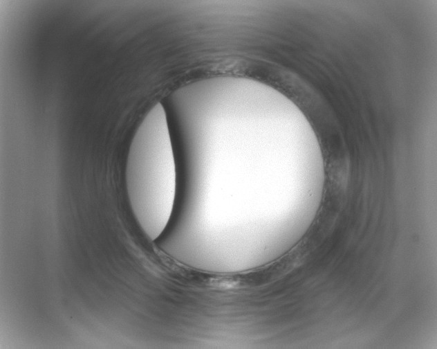 X0000068890602200605051117