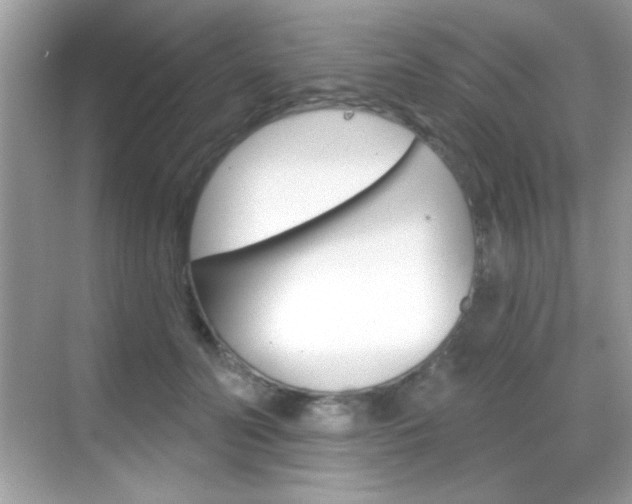 X0000068890606200605051117