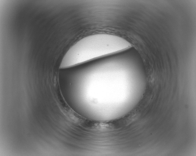 X0000068890607200605051117