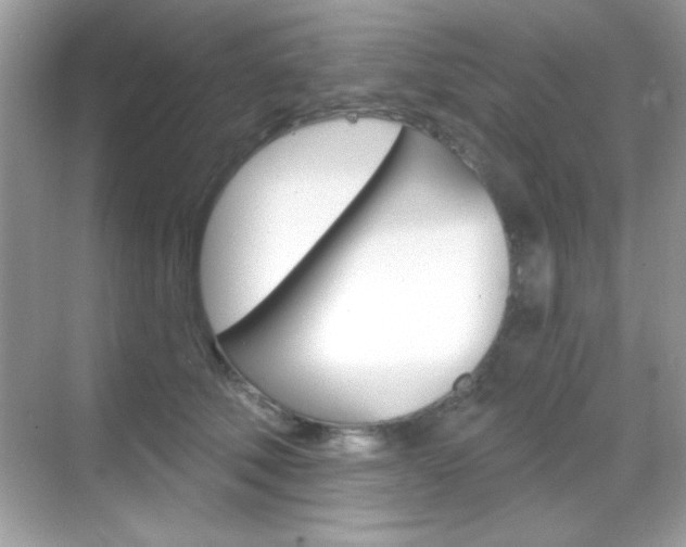 X0000068890610200605051117