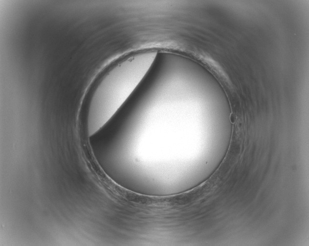 X0000068890628200605051116