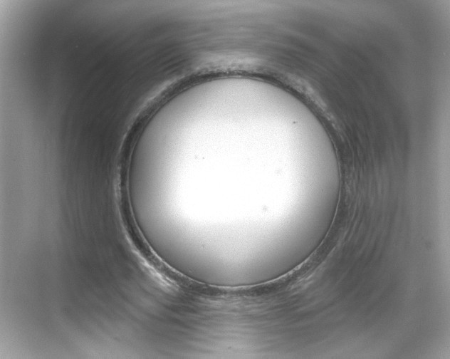 X0000068890629200605051116