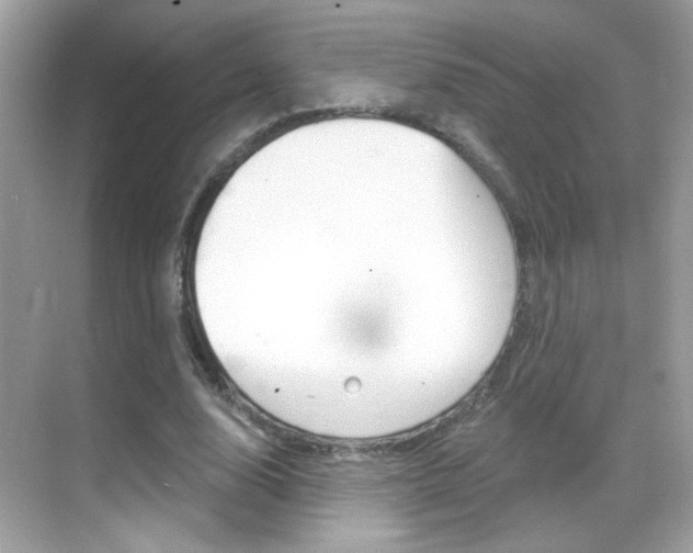 X0000068890632200605051116