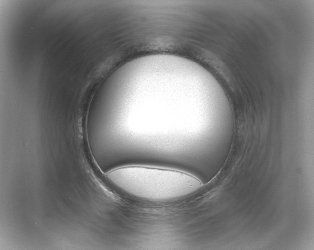 X0000068890633200605051116
