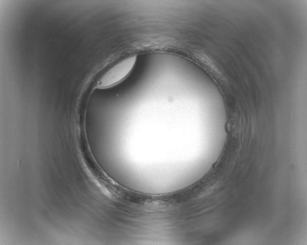 X0000068890634200605051116