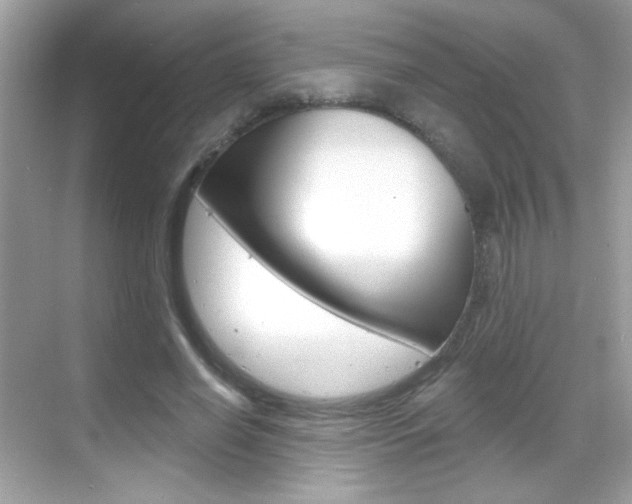 X0000068890638200605051116
