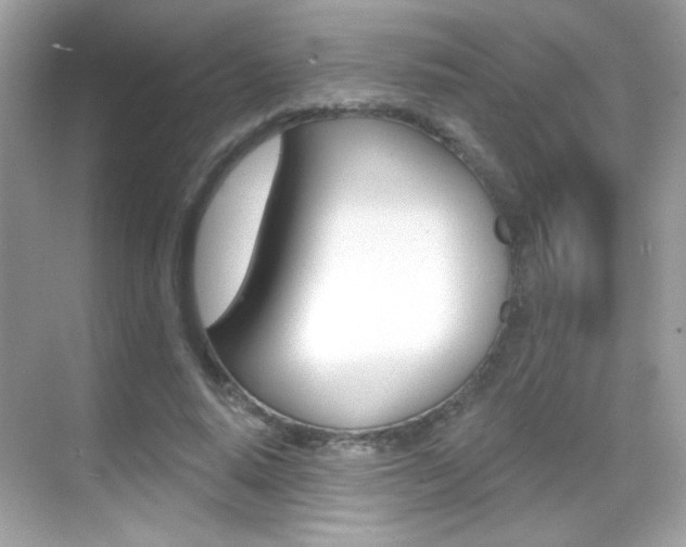 X0000068890640200605051116