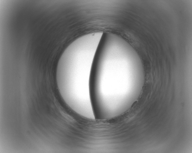 X0000068890646200605051116