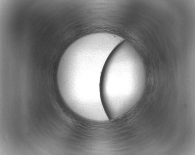 X0000068890647200605051116