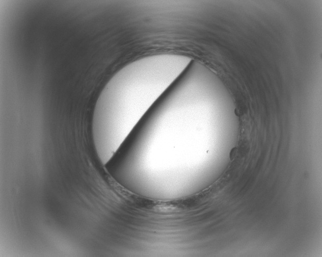 X0000068890650200605051116