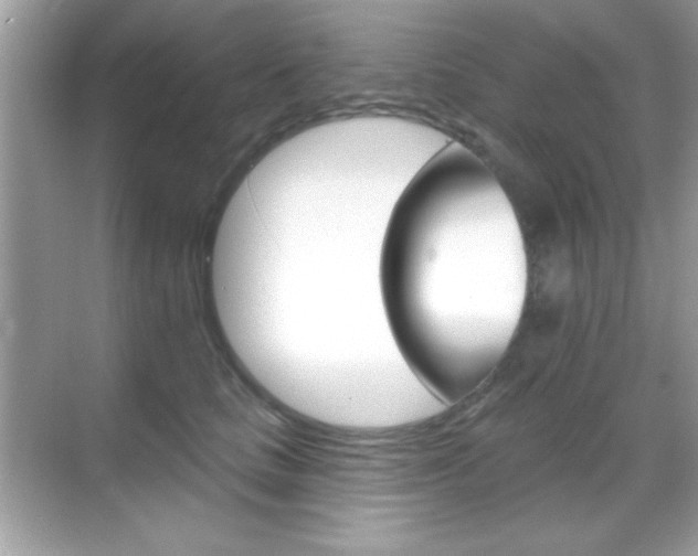 X0000068890661200605051116
