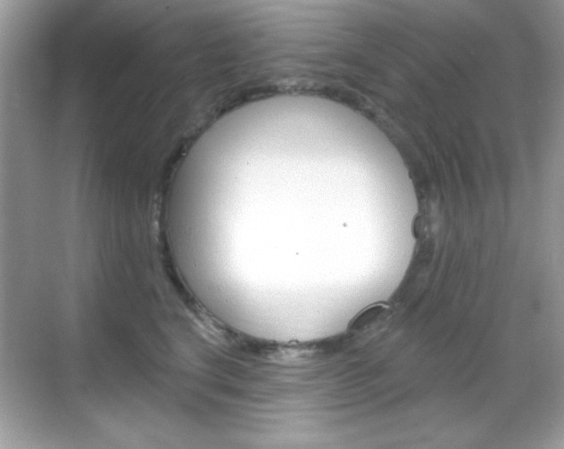 X0000068890664200605051116
