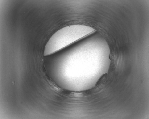 X0000068890665200605051116