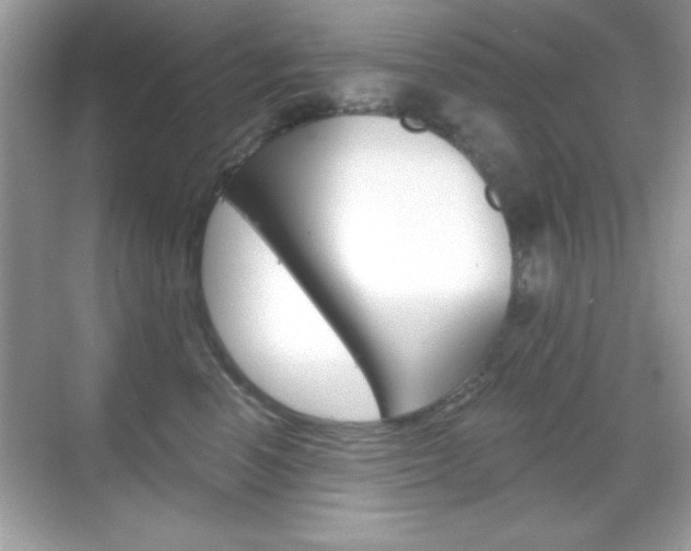 X0000068890666200605051116