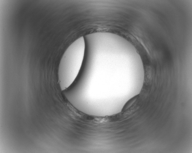 X0000068890667200605051116