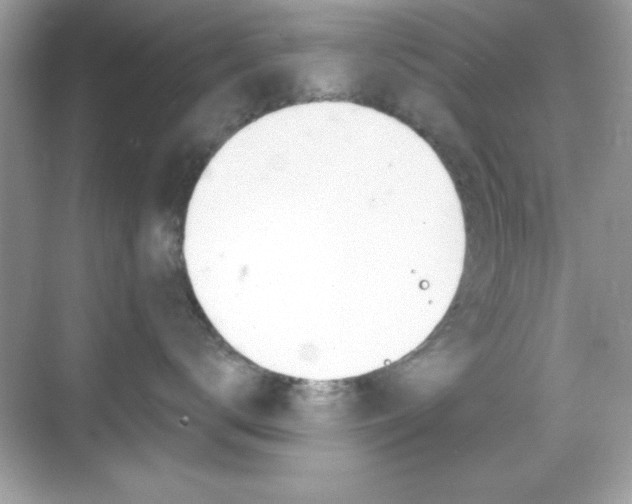 X0000068890672200605051116