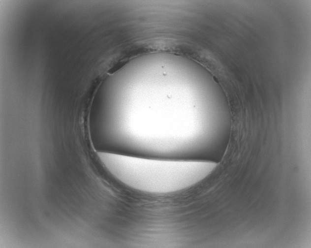 X0000068890696200605051115