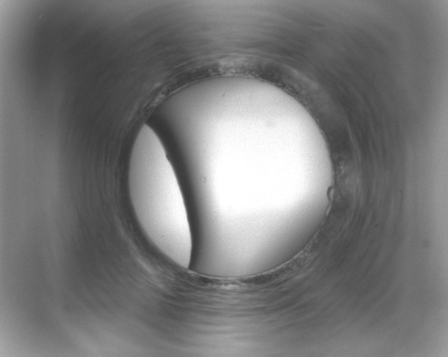 X0000068890698200605051115