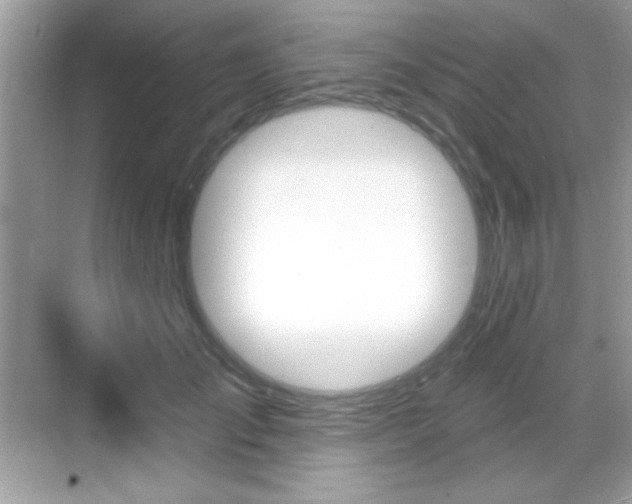 X0000068890701200605051115