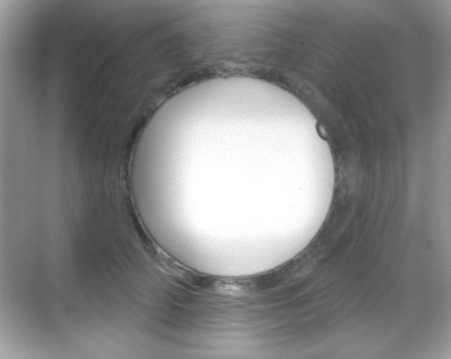 X0000068890706200605051115