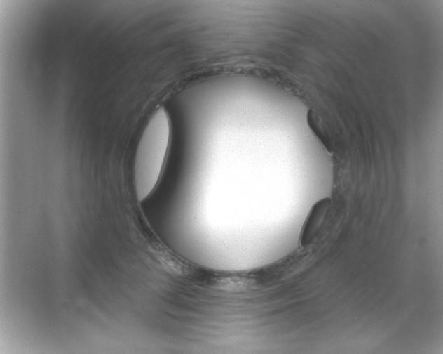 X0000068890708200605051115