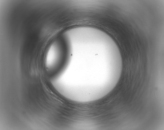 X0000068890731200605051114