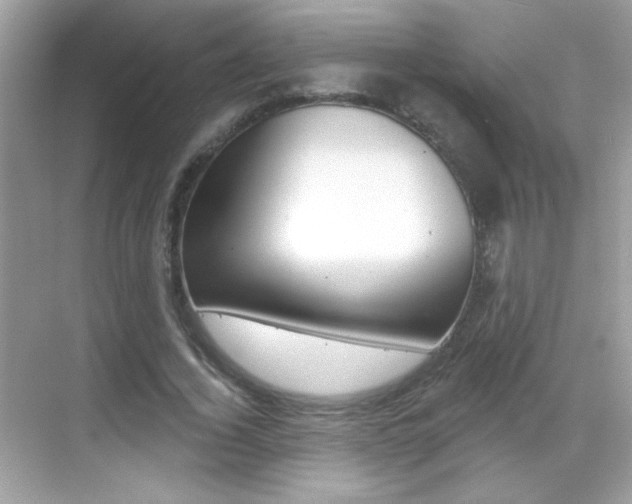 X0000068890732200605051114