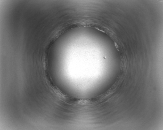X0000068890762200605051115