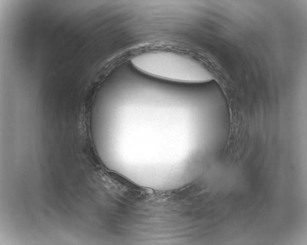 X0000068890773200605051114