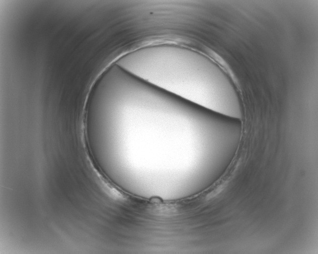 X0000068890802200605051114