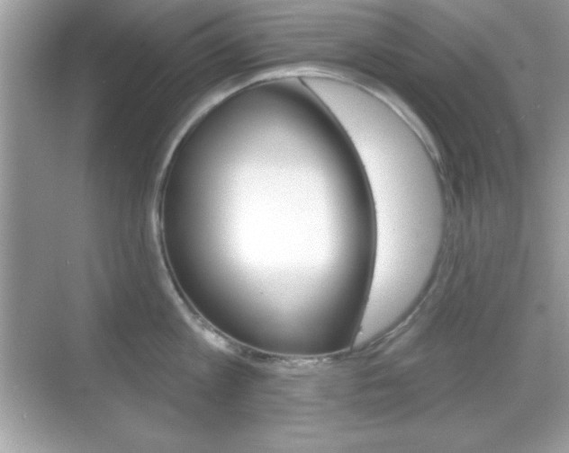 X0000068890813200605051113