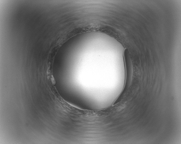 X0000068890818200605051113