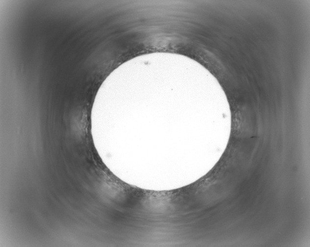 X0000068890820200605051113