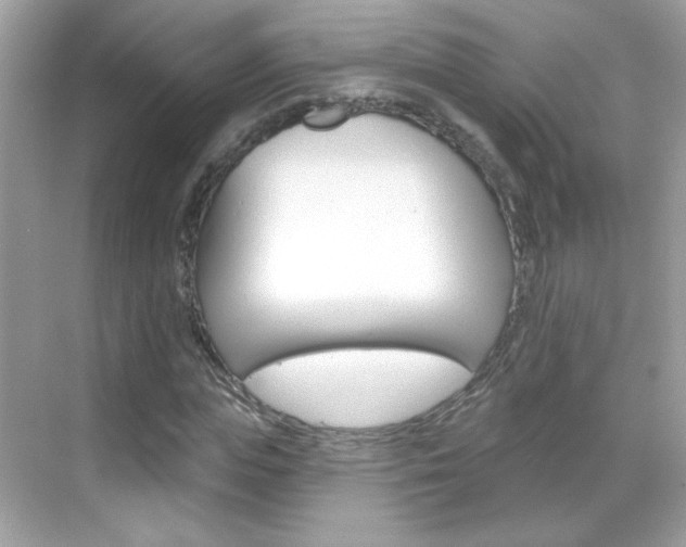 X0000068890823200605051113