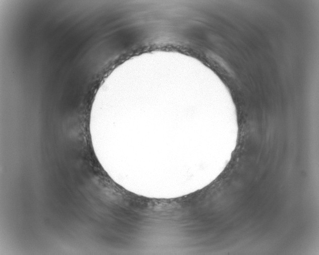 X0000068890824200605051113